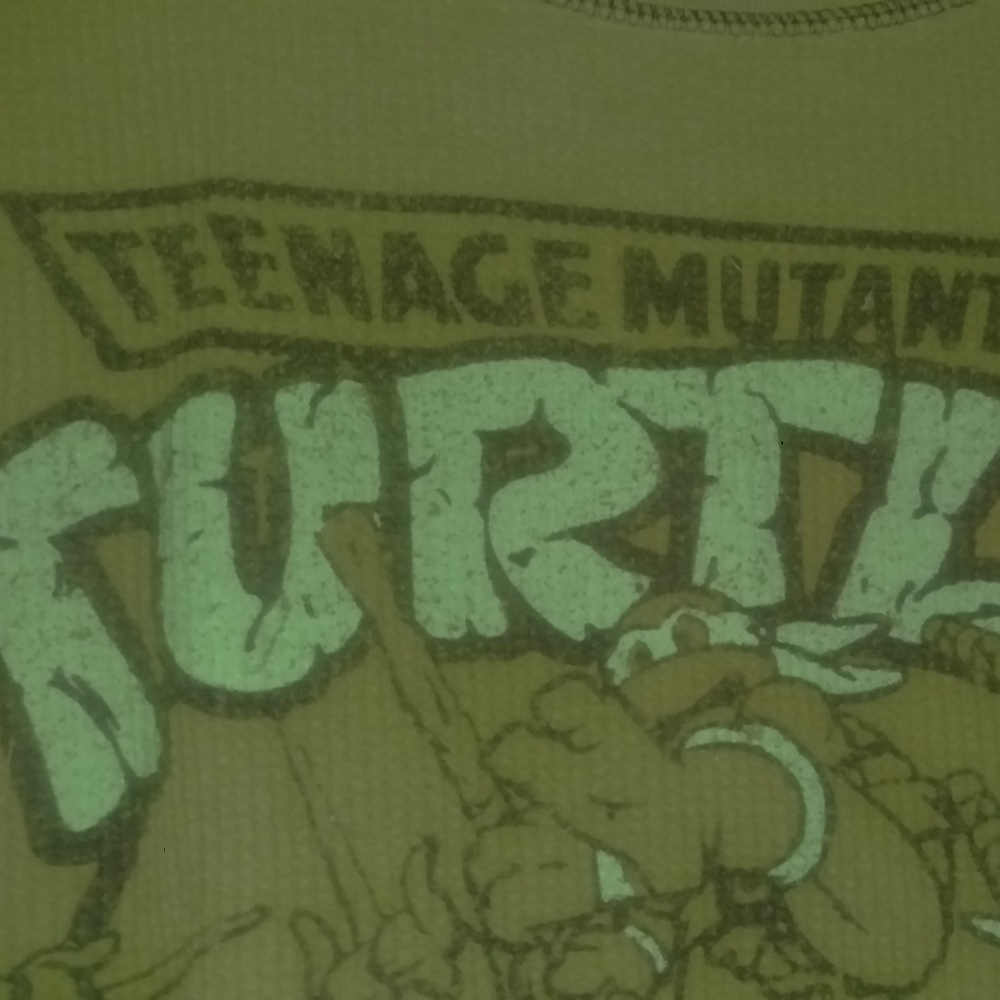 Men's Large Nickelodeon Ninja Turtles Thermo Shirt